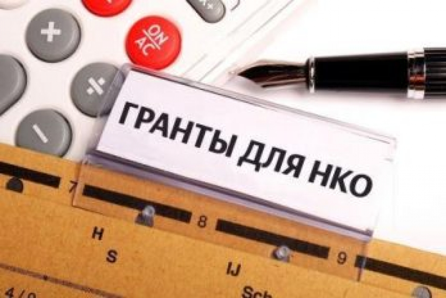 В Ульяновской области стартует конкурс среди СОНКО на предоставление субсидий